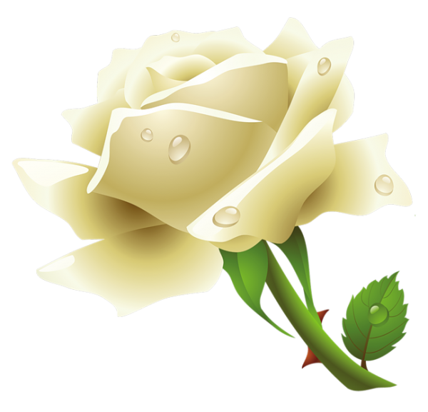 White Roses PNG Free Download 2