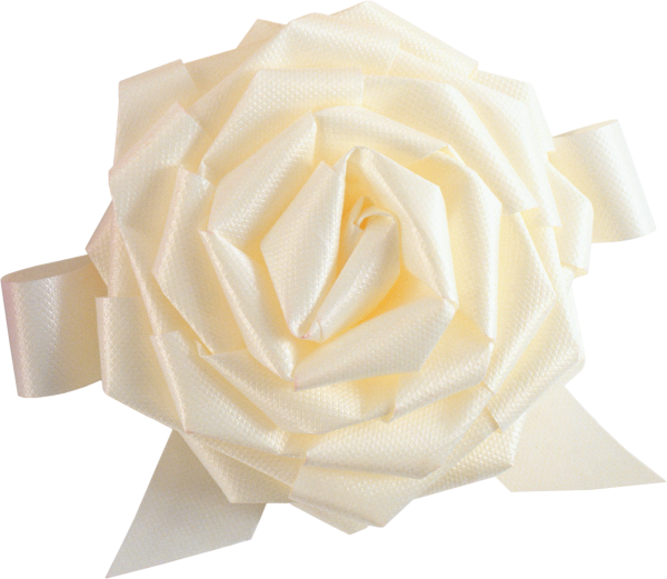 White Roses PNG Free Download 5