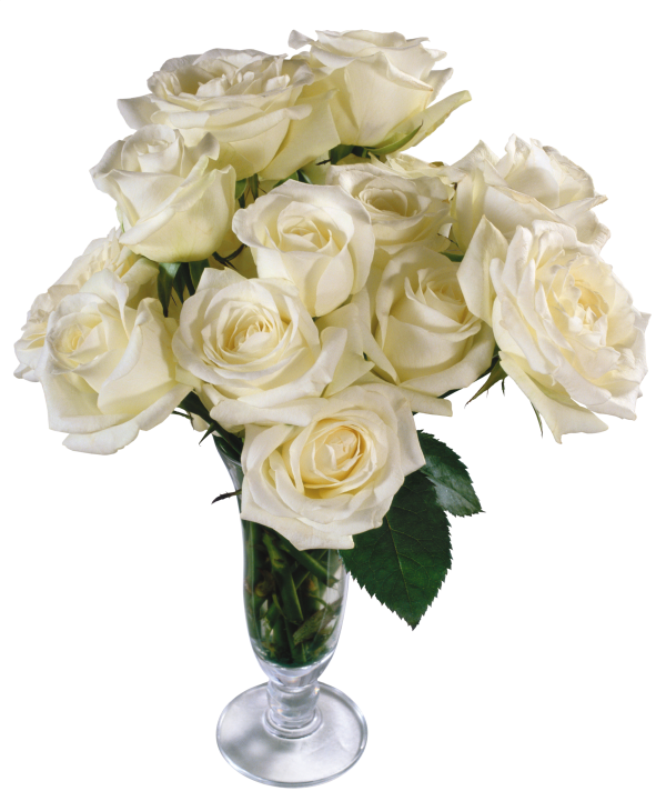 White Roses PNG Free Download 9