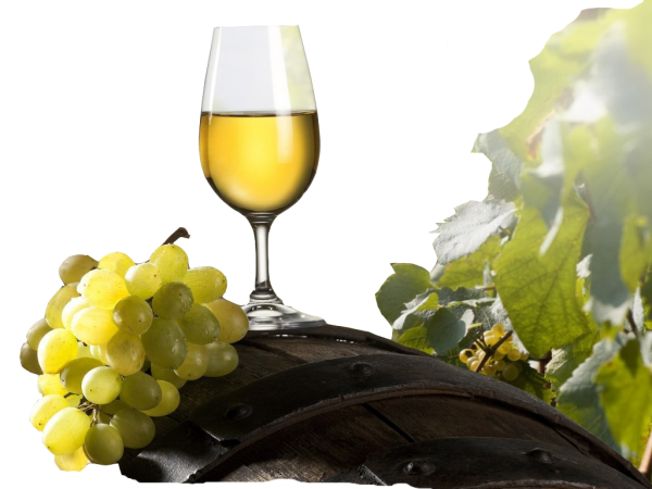 Wine PNG Free Download 15