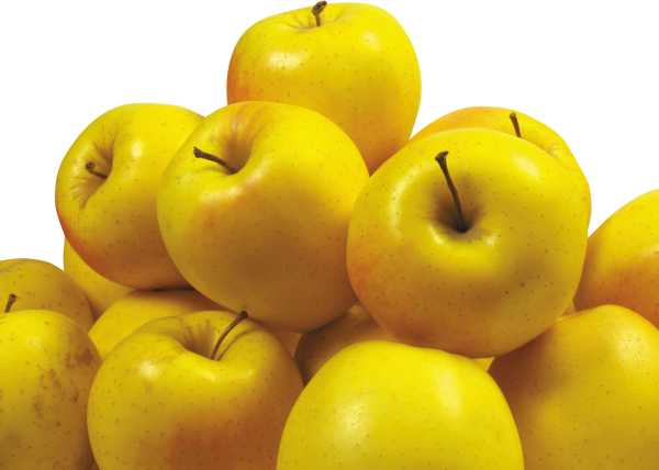 Yellow Apples png