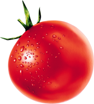 Tomato PNG Free Download 14