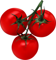 Tomato PNG Free Download 31