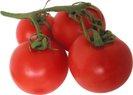 Tomato PNG Free Download 32