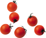 Tomato PNG Free Download 34