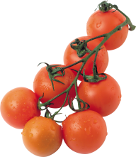 Tomato PNG Free Download 35