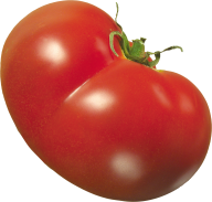 Tomato PNG Free Download 37