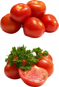 Tomato PNG Free Download 39