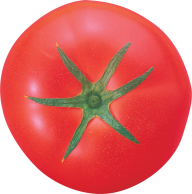 Tomato PNG Free Download 42