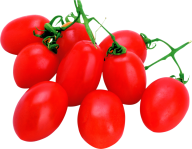 Tomato PNG Free Download 43