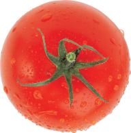Tomato PNG Free Download 44