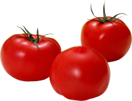 Tomato PNG Free Download 46