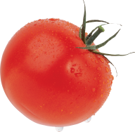 Tomato PNG Free Download 48