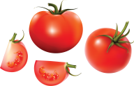 Tomato PNG Free Download 49