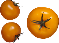 Tomato PNG Free Download 52