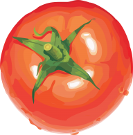 Tomato PNG Free Download 53
