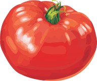Tomato PNG Free Download 54