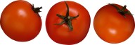 Tomato PNG Free Download 56