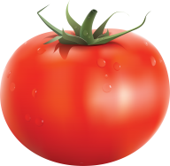 Tomato PNG Free Download 58