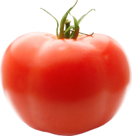 Tomato PNG Free Download 61