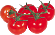 Tomato PNG Free Download 62