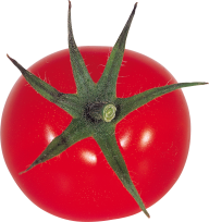 Tomato PNG Free Download 64
