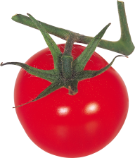 Tomato PNG Free Download 65