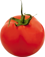 Tomato PNG Free Download 67