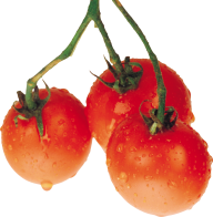 Tomato PNG Free Download 68