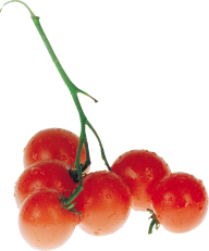 Tomato PNG Free Download 70