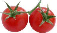 Tomato PNG Free Download 71