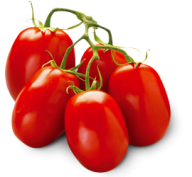 Tomato PNG Free Download 72
