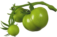 Tomato PNG Free Download 73