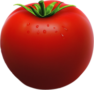Tomato PNG Free Download 82