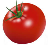Tomato PNG Free Download 86