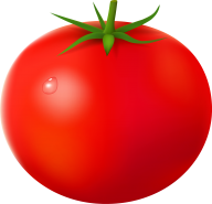 Tomato PNG Free Download 90