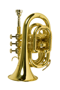 Trumpet PNG Free Download 25
