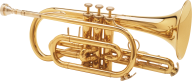 Trumpet PNG Free Download 31