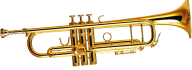 Trumpet PNG Free Download 50