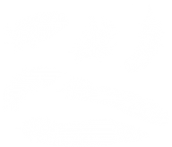 White Feathers Png Download